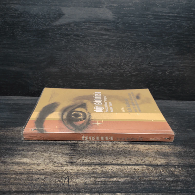 ปาฏิหาริย์บันทึกรัก The Notebook - Nicholas Sparks (นิโคลัส สปาร์กส์) รูปที่ 3