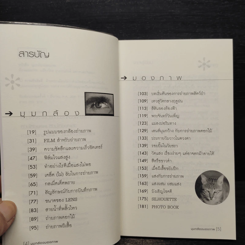 มุมกล้องมองภาพ - เกรียงไกร สุวรรณภักดิ์ รูปที่ 6