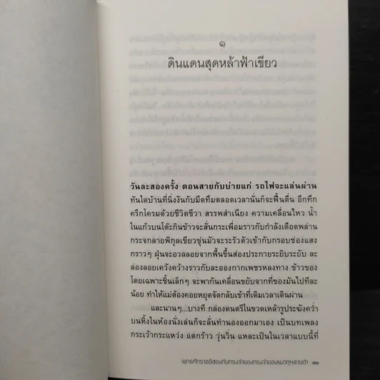 พุทธศักราชอัสดงกับทรงจำของทรงจำของแมวกุหลาบดำ - วีรพร นิติประภา รูปที่ 6