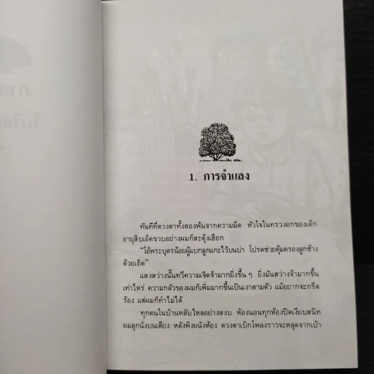 ต้นส้มแสนรัก ภาค 2 - โจเซ่ วาสคอนเซลอส รูปที่ 8