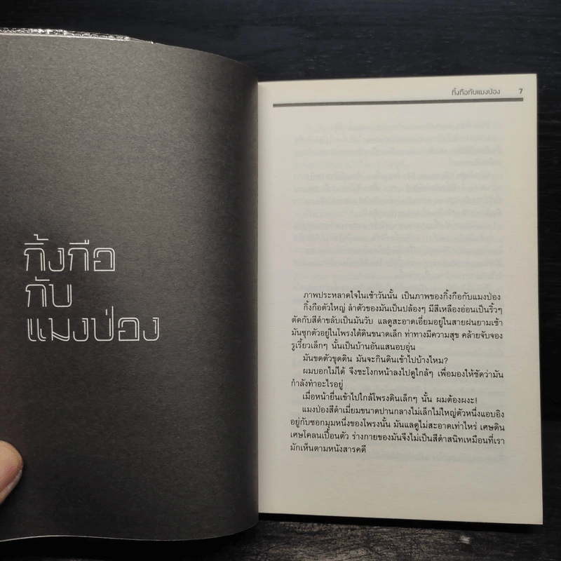 เธอเขาเราผม - โตมร ศุขปรีชา รูปที่ 5