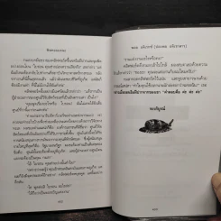 พิษหอยมรณะ The King Kong Effect - ปองพล อดิเรกสาร รูปที่ 8