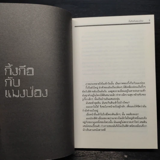 เธอเขาเราผม - โตมร ศุขปรีชา รูปที่ 5