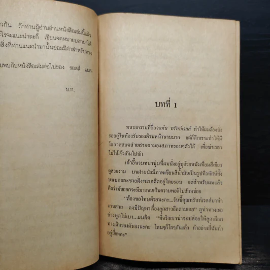 วิปลาสฆาตกรรม - รอสส์ แมคโดนัลด์ รูปที่ 6
