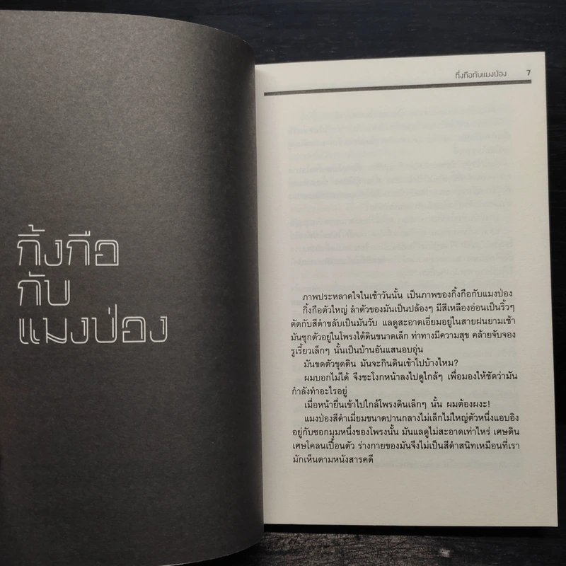 เธอเขาเราผม - โตมร ศุขปรีชา รูปที่ 5