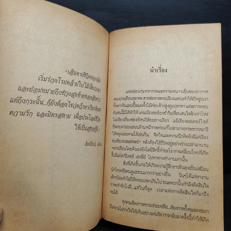 แผนปฏิบัติการ ไวล์ดแคท - Craig Thomas, ช.พันธ์พิมพ์ รูปที่ 6