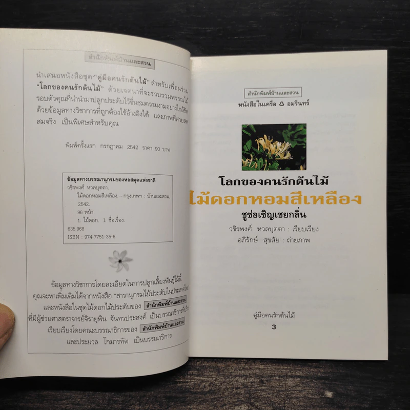 คู่มือคนรักต้นไม้ ไม้ดอกหอม สีเหลือง - วชิรพงศ์ หวลบุตตา รูปที่ 5