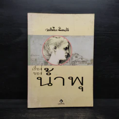 เรื่องของน้ำพุ - วงศ์เมือง นันทขว้าง รูปที่ 1