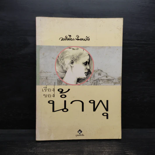 เรื่องของน้ำพุ - วงศ์เมือง นันทขว้าง รูปที่ 1