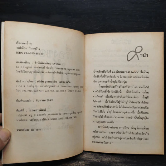 เรื่องของน้ำพุ - วงศ์เมือง นันทขว้าง รูปที่ 5