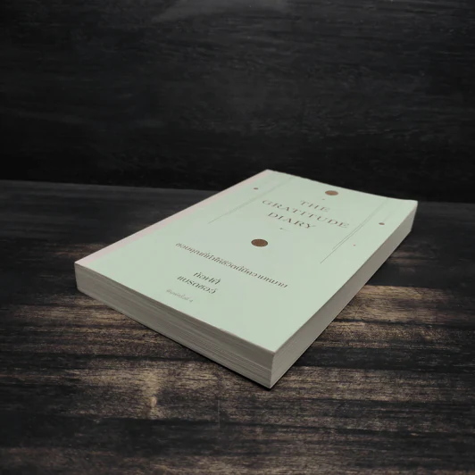 The Gratitude Diary ขอบคุณที่ทำให้ชีวิตนี้มีความหมาย - ท้อฟฟี่ แบรดชอว์ รูปที่ 4