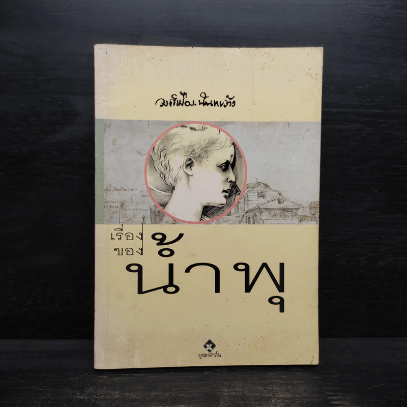 เรื่องของน้ำพุ - วงศ์เมือง นันทขว้าง รูปที่ 1
