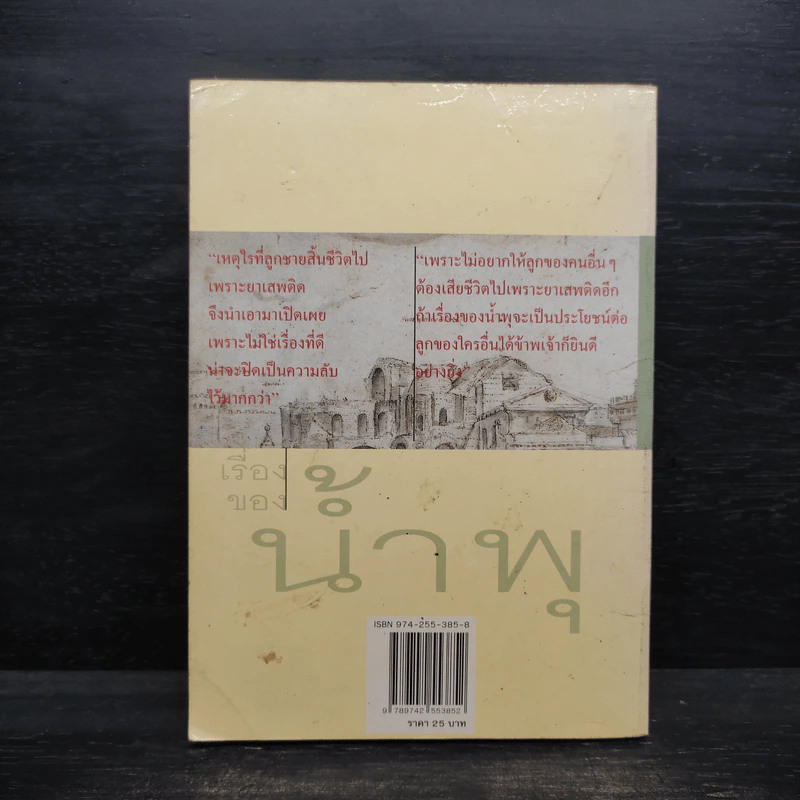 เรื่องของน้ำพุ - วงศ์เมือง นันทขว้าง รูปที่ 2