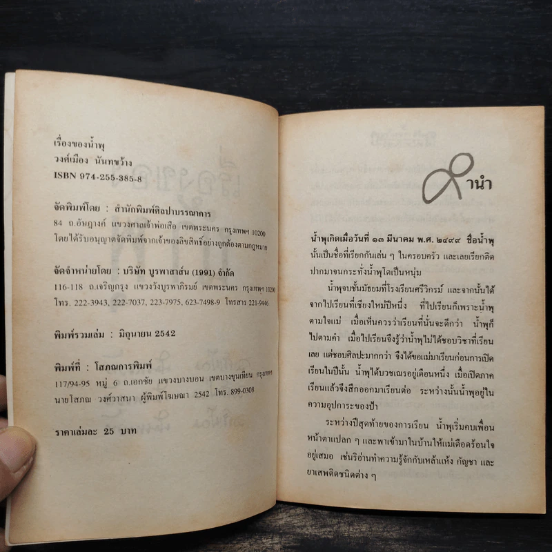 เรื่องของน้ำพุ - วงศ์เมือง นันทขว้าง รูปที่ 5