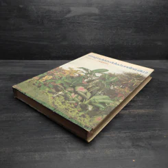 สารานุกรมไม้ประดับในประเทศไทย เล่ม 2 รูปที่ 4