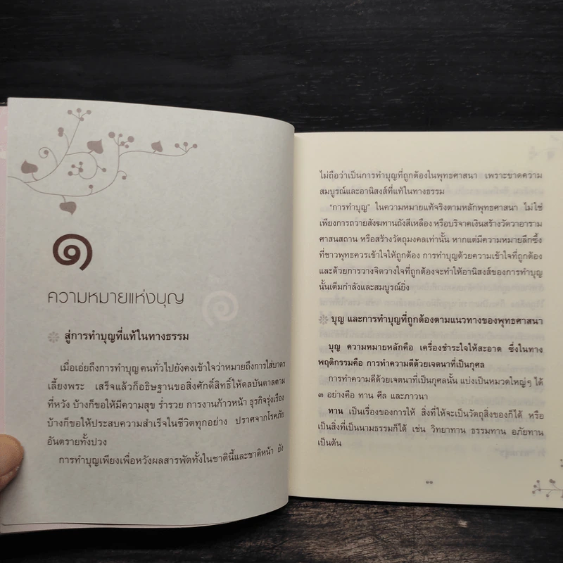 ทำบุญให้สุขภาพดี - พระไพศาล วิสาโล รูปที่ 6