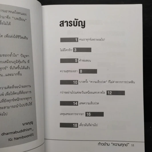 ก้าวข้ามความทุกข์ - นามบุญ รูปที่ 6