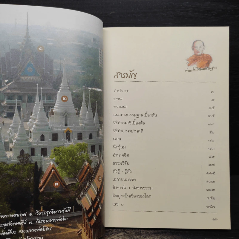 ท่านพ่อลีสอนกรรมฐาน รูปที่ 6