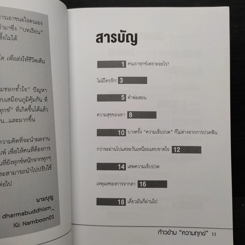 ก้าวข้ามความทุกข์ - นามบุญ รูปที่ 6