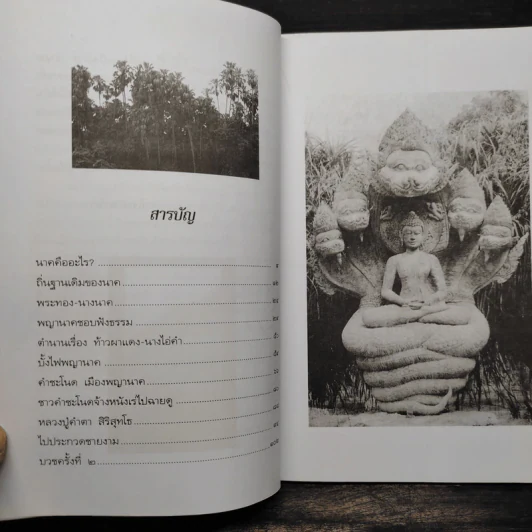 คำชะโนด เมืองพญานาค - ลอง ธารา รูปที่ 6