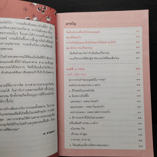 สมาธิวันละ 5 นาที ชนะทุกข์ พิชิตกรรม - ศ.ศาสตรา รูปที่ 6