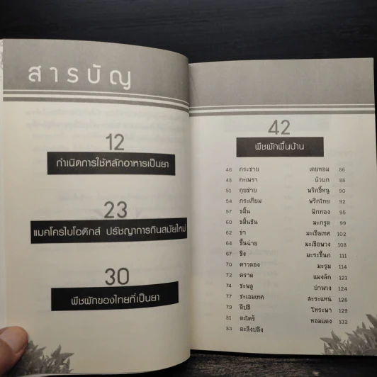 สุดยอดตำรับยาอายุวัฒนะ จากผักพื้นบ้านใกล้ตัว - ธีระวุฒิ ปัญญา รูปที่ 6