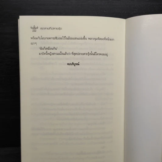 สุดสายที่ปลายรุ้ง - คิงเพนกวิน รูปที่ 7