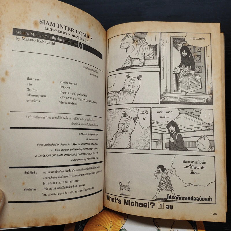 What's Michael? เหมียวไม่ธรรมดา 9 เล่มจบ รูปที่ 12