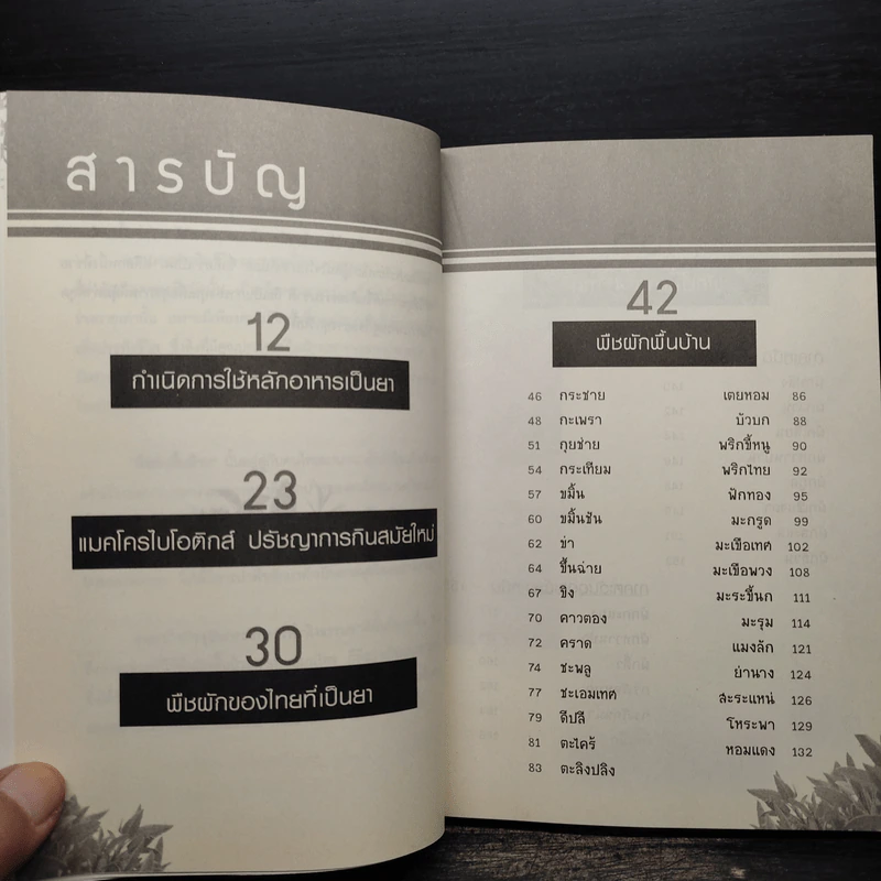สุดยอดตำรับยาอายุวัฒนะ จากผักพื้นบ้านใกล้ตัว - ธีระวุฒิ ปัญญา รูปที่ 6