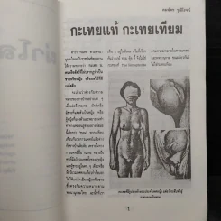 ผ่าโลกเกย์ - คมฉัตร วุฒิโรจน์ รูปที่ 7