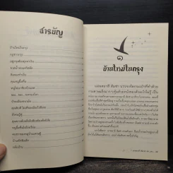 ยายมาลีส้มซ่า ฮ่า...ฮ่า... - ศรี เกศมณี รูปที่ 6