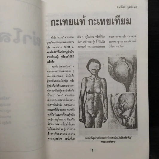 ผ่าโลกเกย์ - คมฉัตร วุฒิโรจน์ รูปที่ 7
