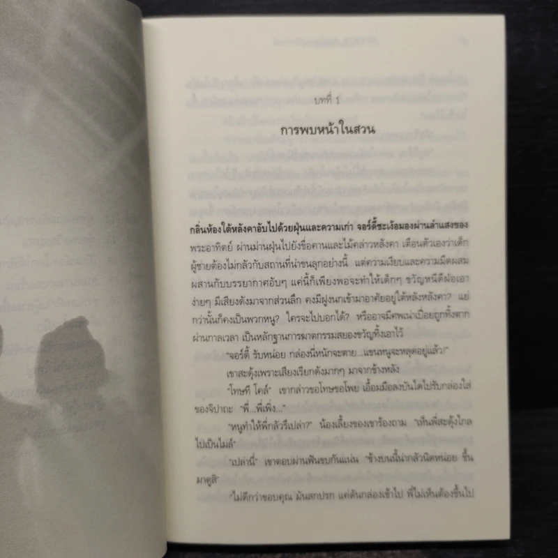 Attica ทะลุโลกมหัศจรรย์ - Garry Kilworth รูปที่ 7