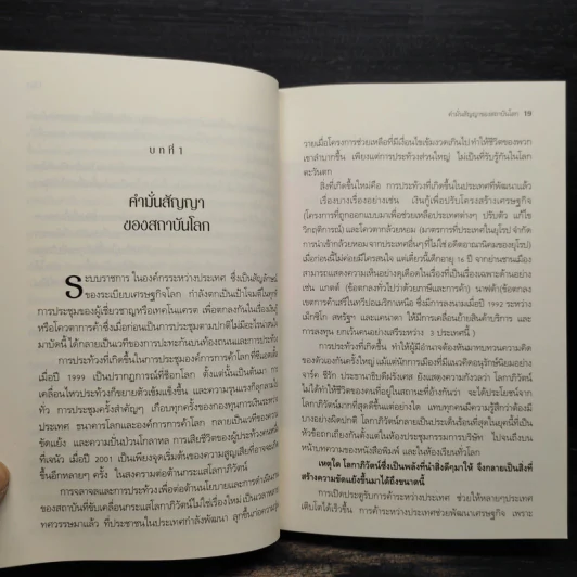 โลกาภิวัตน์ที่ล่มสลาย - Joseph E.Stiglitz รูปที่ 7