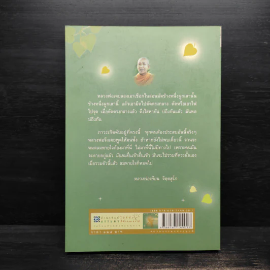 เปิดประตูสัจธรรม - หลวงพ่อเทียน จิตตสุโภ รูปที่ 2