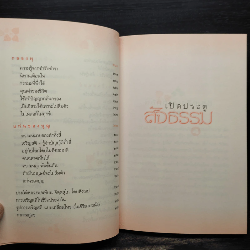 เปิดประตูสัจธรรม - หลวงพ่อเทียน จิตตสุโภ รูปที่ 10
