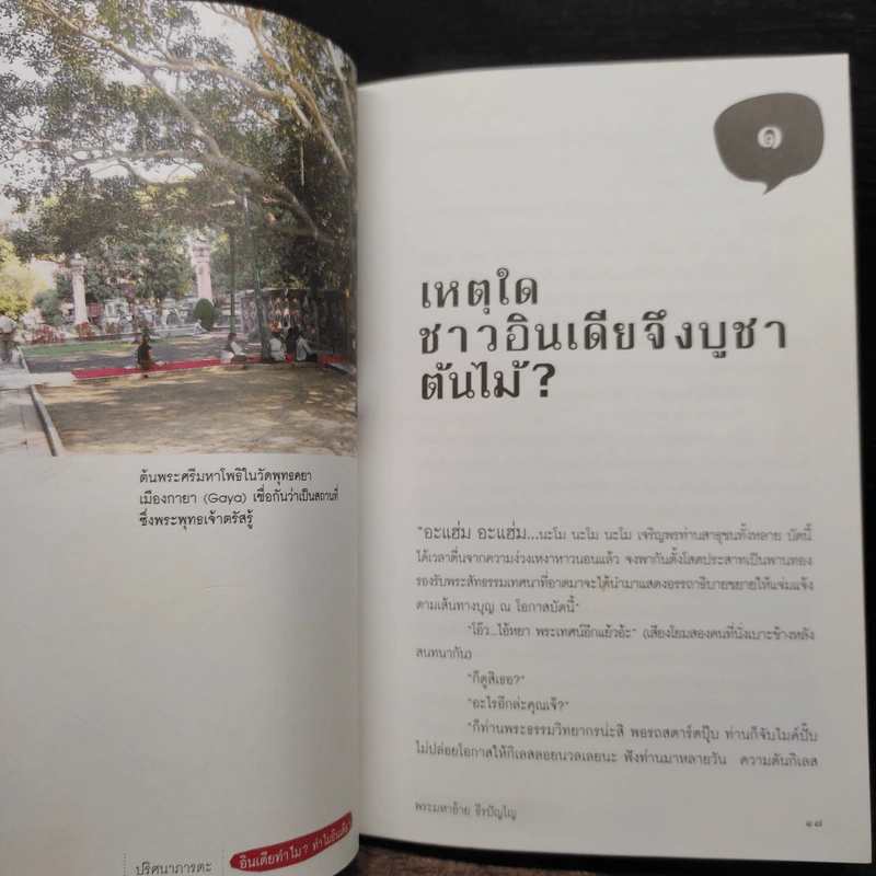 ปริศนาภารตะ อินเดียทำไม? ทำไมอินเดีย? - พระมหาอ้าย ธีรปัญโญ รูปที่ 6