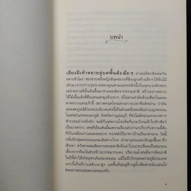 สมิงเขาขวาง - กฤตานนท์ รูปที่ 6