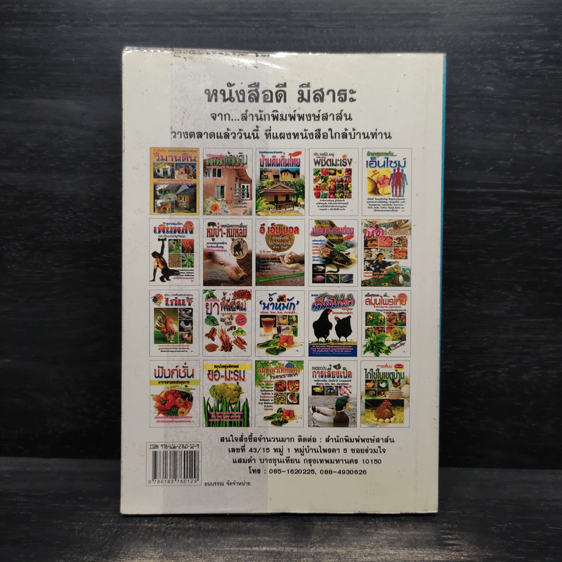 วิวัฒนาการบ้านดิน แบบอย่างการสร้างบ้านดินทั่วทุกมุมโลก รูปที่ 2