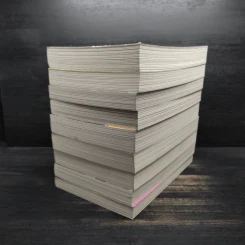 หงสาจอมราชันย์ ภาคพิเศษ เล่ม 1-8 (รวม 9 เล่ม) - Wang Yi Xing (หวังอี๋ซิง) รูปที่ 3
