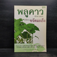 พลูคาว (ผักคาวตอง) ผักพื้นบ้านขจัดมะเร็ง - กัมปชาญ เจี๊ยบนา รูปที่ 1