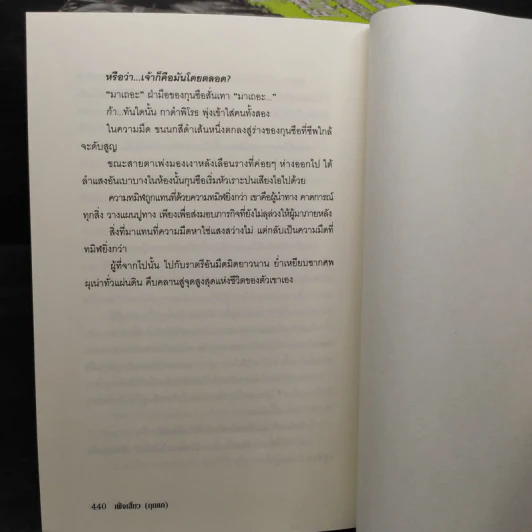 หงสาจอมราชันย์ ภาคพิเศษ เล่ม 1-8 (รวม 9 เล่ม) - Wang Yi Xing (หวังอี๋ซิง) รูปที่ 7