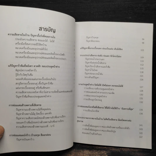 สารพัดวิธีซ่อมบ้าน - กฤษณ์ อินทรนนท์ รูปที่ 6