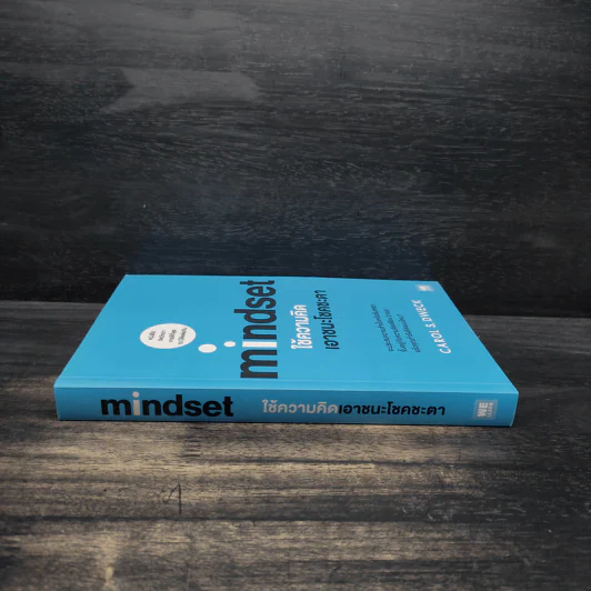 Mindset ใช้ความคิดเอาชนะโชคชะตา - Carol S.Dweck รูปที่ 3