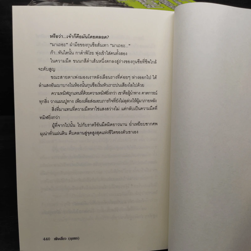 หงสาจอมราชันย์ ภาคพิเศษ เล่ม 1-8 (รวม 9 เล่ม) - Wang Yi Xing (หวังอี๋ซิง) รูปที่ 7