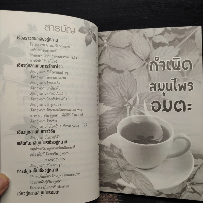 ปัญจขันธ์ เจียวกู่หลาน สมุนไพรอมตะ ต้านมะเร็ง - ไกรภพ สาระกูล รูปที่ 6