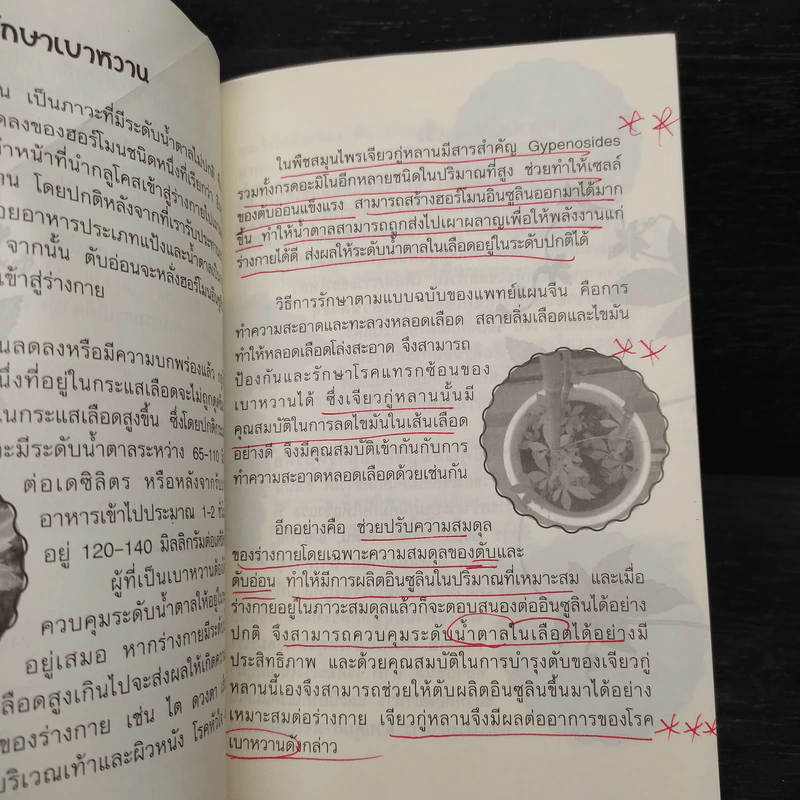 ปัญจขันธ์ เจียวกู่หลาน สมุนไพรอมตะ ต้านมะเร็ง - ไกรภพ สาระกูล รูปที่ 8