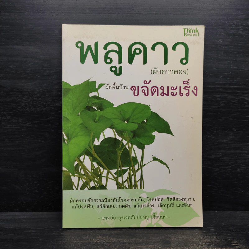 พลูคาว (ผักคาวตอง) ผักพื้นบ้านขจัดมะเร็ง - กัมปชาญ เจี๊ยบนา รูปที่ 1