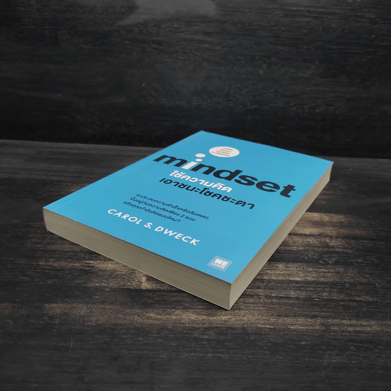 Mindset ใช้ความคิดเอาชนะโชคชะตา - Carol S.Dweck รูปที่ 4