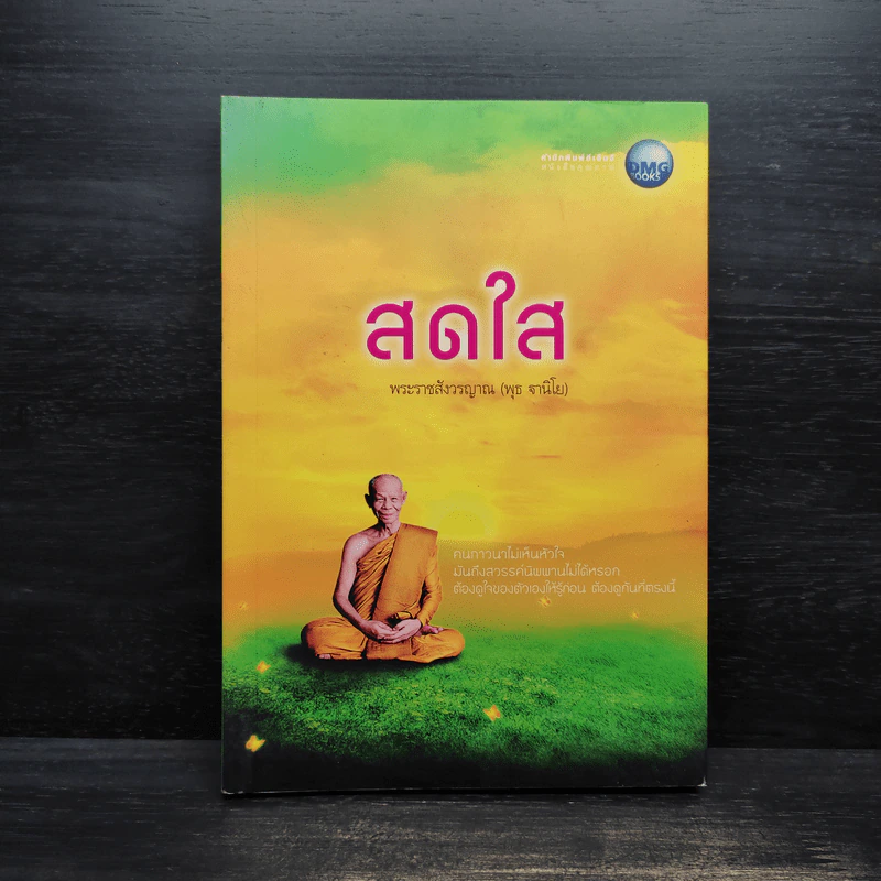 สดใส - พระราชสังวรญาณ (พุธ ฐานิโย) รูปที่ 1